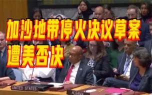 中方回应美否决加沙地带停火决议草案