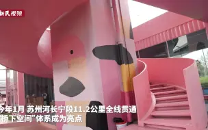 告别水泥灰！猎豹、斑马、火烈鸟“齐聚”苏州河中环桥下