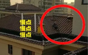 太危险！4名小孩28楼天台攀爬玩耍，被保安紧急抱离！