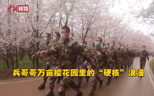 硬核浪漫！兵哥哥万亩樱花园内训练！
