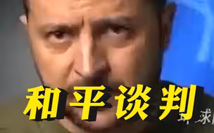 俄媒：泽连斯基在联大视频讲话中排除了与俄罗斯进行和平谈判可能性