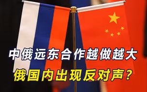 中俄远东合作越做越大，俄国内出现反对声？张汉晖大使巧妙化解
