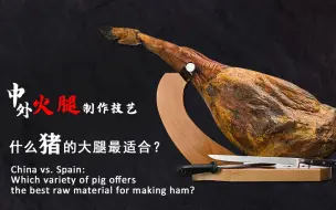 中外火腿制作技艺 ：什么猪的大腿最适合？