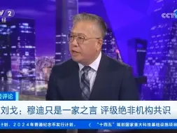刘戈：穆迪只是一家之言 评级绝非机构共识