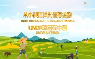 从小额信贷到普惠金融—联合国开发计划署项目在中国