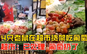 4只老鼠爬上超市货架吃葡萄，超市：老鼠当天已处理，葡萄扔了