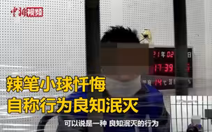 辣笔小球忏悔：我的行为是一种良知泯灭的行为