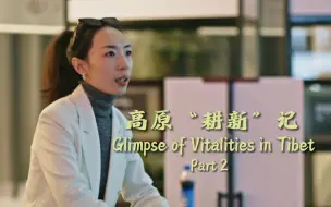 高原“耕新”记|纽约时代广场上的“西藏范儿”