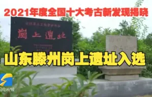 2021年度全国十大考古新发现揭晓！山东滕州岗上遗址入选