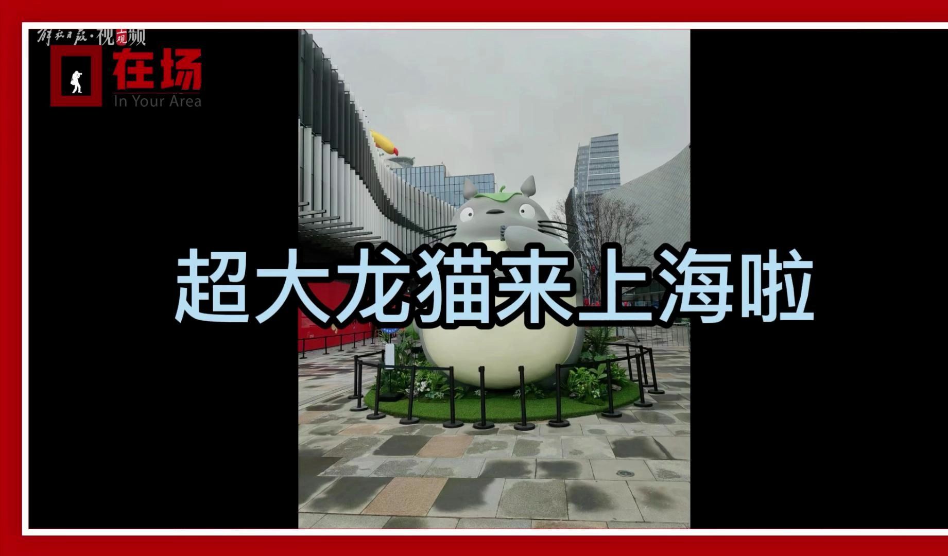 在场 | 这只猫有6米高的身材！