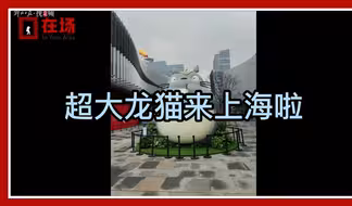 在场 | 这只猫有6米高的身材！