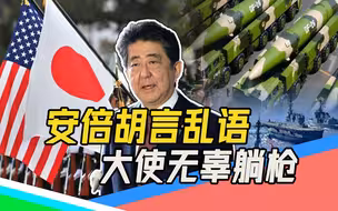 安倍 “晋三”之路（上）：妄谈台海局势，日本驻华大使深夜挨批