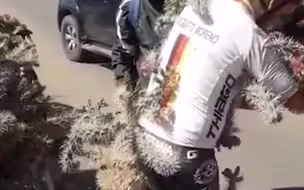 看着就疼！自行车失控摔倒，骑手爬出来时全身挂满仙人掌