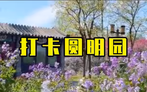 圆明园小众路线打卡，武陵春色迎最佳观赏季