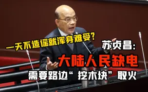 一天不造谣就浑身难受？苏贞昌：大陆人民缺电，路边挖木块取火