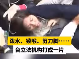 泼水、锁喉、剪刀脚……台立法机构打成一片