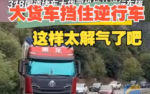 318国道堵车大货司机挡住逆行车辆 下车理论的身影瞬间高大起来
