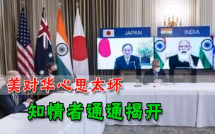 白宫对华是何策略？美国知情者爆内幕：全力抹黑，现在不敢太合作