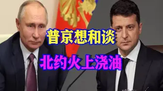 普京释放和谈信号，北约火上浇油：支持乌克兰攻击俄领土