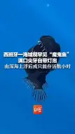 西班牙一海域现罕见“魔鬼鱼” 满口尖牙自带灯泡 由深海上浮后或只能存活数小时