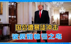 国会遭暴徒冲击，议员如惊弓之鸟，乱局之后特朗普将面临法律制裁