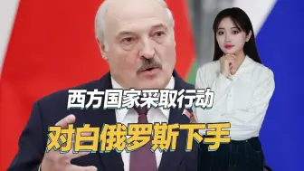 对白俄罗斯下手了，北约国家宣布：不允许白俄罗斯牌照的车辆进入