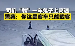 司机“载”了一车兔子上高速 警察：你这是客车只能载客