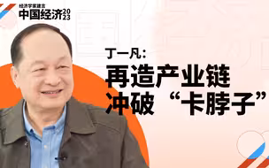 丁一凡：中国企业得打造出自己的产业链，才不怕被“卡脖子”（下）