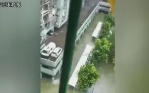 澳门蝶泳男水中奋力救人 网民为曾吐槽道歉