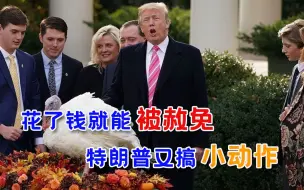 有钱就能无法无天？特朗普赦免名单多达20人，除了子女还有金主