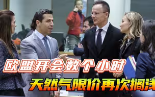 天然气限价限了个寂寞！欧盟开会数个小时，天然气限价达不成共识