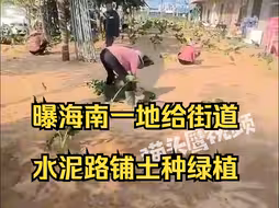 曝海南一地给街道水泥路铺土种绿植，政府：农耕地违规硬化，被卫星拍到了要整改