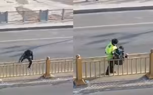 男子健步如飞横穿马路 翻栏杆时脚下一滑被卡住 扭头一看尴尬了
