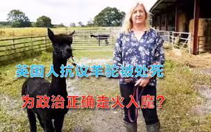泽连斯基到访华盛顿，终于见到拜登，接下来的一幕让乌克兰人怒了