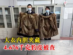 大衣内胆夹藏4.676千克豹皮被查：为国家一级重点保护野生动物制品
