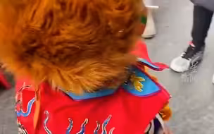 社火小猴子金箍棒被骗走大哭，上一秒有多潇洒这一秒就多伤心。