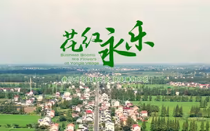 花红永乐：种植藏红花后，又打造民宿花海