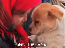 “它救了我的命”！地震来临前狗狗将村民带到安全地带