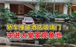 轿车冲进酒店大堂景观鱼池，酒店：确有此事，正在清扫