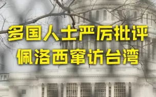 多国人士严厉批评佩洛西窜访台湾