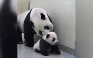 宝贝，该睡了
