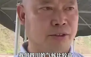 小龙虾抢“鲜”上市 价格有点“麻辣”