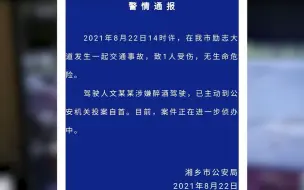 轿车撞倒路人疯狂逃逸 妈妈单手救子引关注 警方通报：驾驶人醉驾