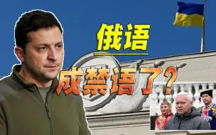 说俄语就是罪过，剥夺民众说话的权利，乌克兰到底在怕什么