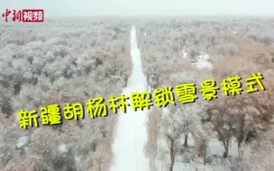 太美啦！新疆胡杨林解锁雪景模式