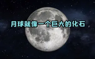 月球就像一个巨大的化石