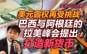 李肃：美元霸权再受挑战，巴西与阿根廷的拉美峰会提出打造新货币