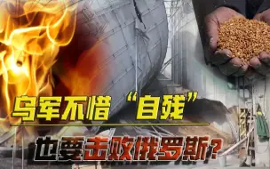为防俄军缴获物资，乌军不惜“自残”，烧毁自家粮仓能吓退俄方吗