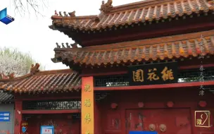与桃花堤8000多株桃树共赴粉色之约