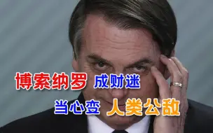 真想让世界背锅？巴西为赚钱狂毁“地球之肺”，已步日本后尘